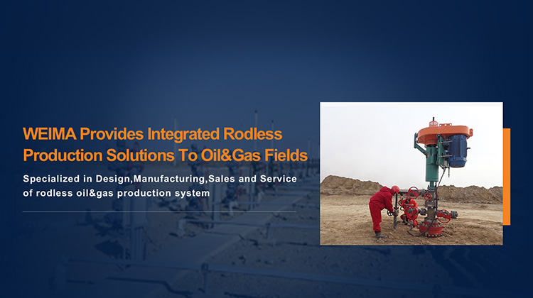 RODLESS OIL PRODUCTION EQUIPMENT