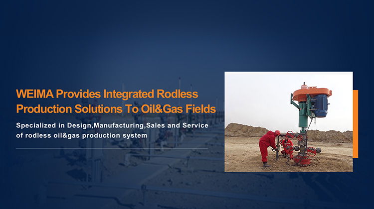 RODLESS OIL PRODUCTION EQUIPMENT RODLESS OIL PRODUCTION EQUIPMENT