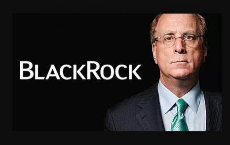 BlackRock: BP should pass shareholder resolutions as soon as possible to reduce carbon emissions