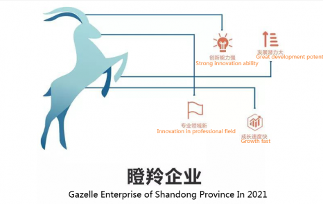Weima Pump was awarded as the Gazelle enterprise of Shandong Province in 2021