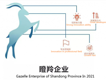 Weima Pump was awarded as the Gazelle enterprise of Shandong Province in 2021